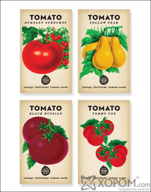 The Little Veggie Patch Co package design